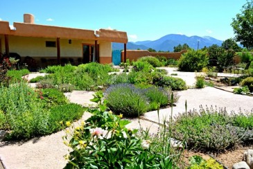 El Salto Compound-Private Setting on 3 Acres