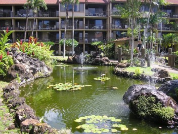 Gorgeous Condo