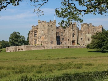 Thistle Close Close To The Village Of Staindrop