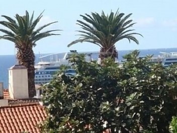 Apartment in the Centre of Funchal