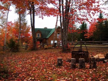 Cedar Brook Landing River Lodge - Browns Yard