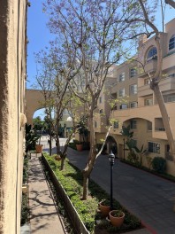 Downtown Bliss…
