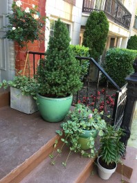 Private 3BR apartment…