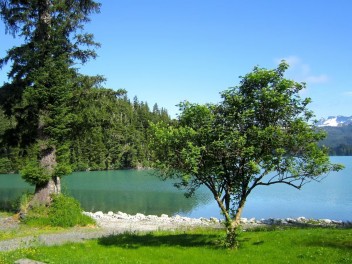 Bear Country Lodge #2