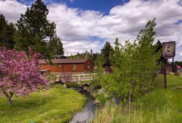 The Relaxing Creekside