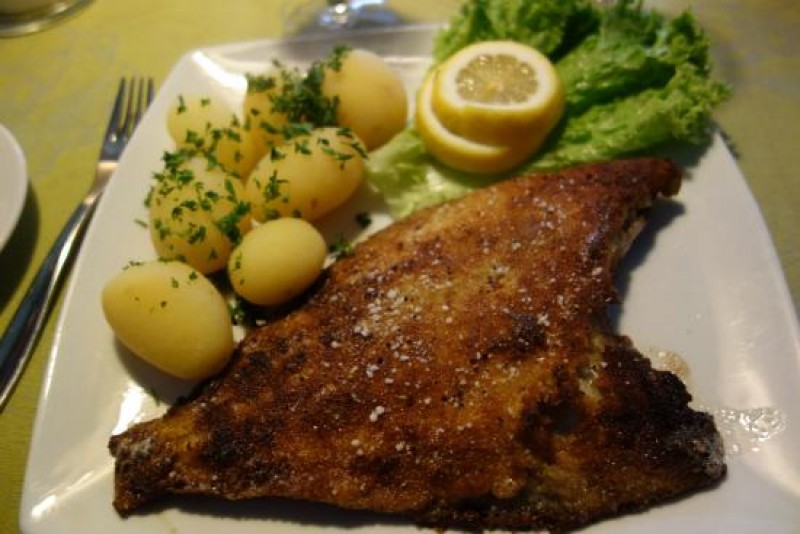 Restaurant Backhaus ApS
