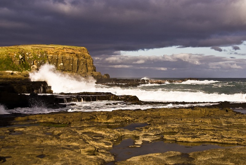 Curio Bay Cliffs