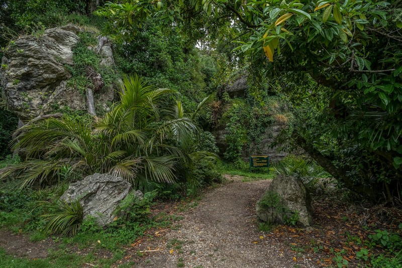 The Grove Scenic Reserve