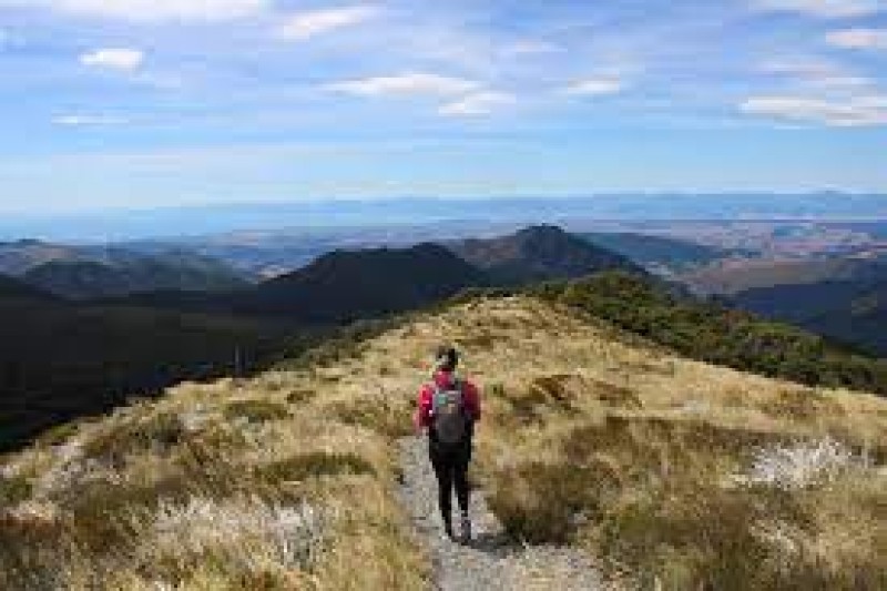 Hike Mt Arthur