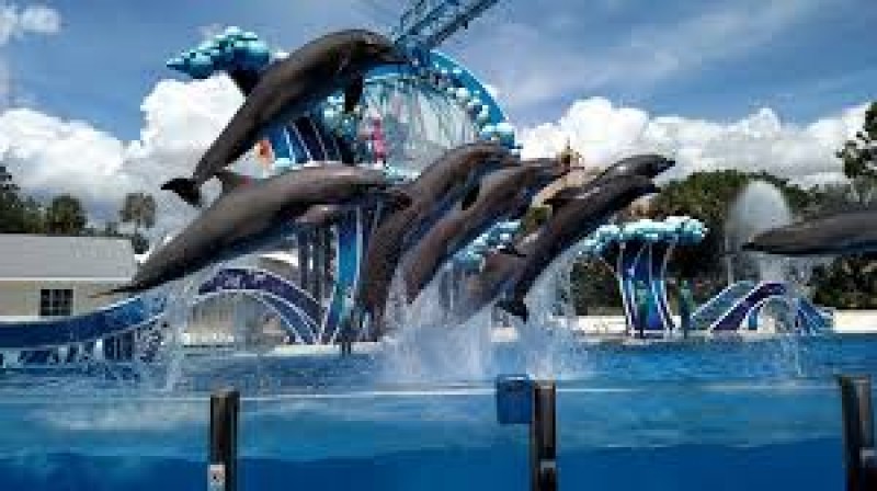 SeaWorld Orlando