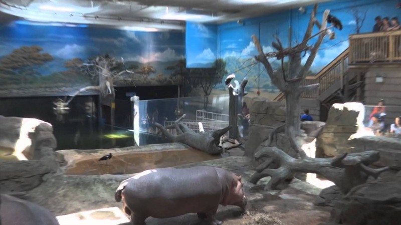 The Adventure Aquarium