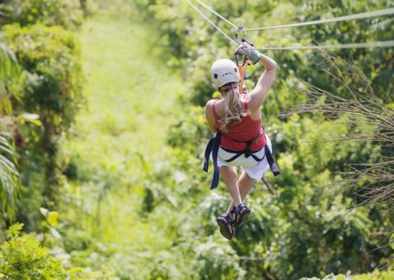 Jungle Top Zipline