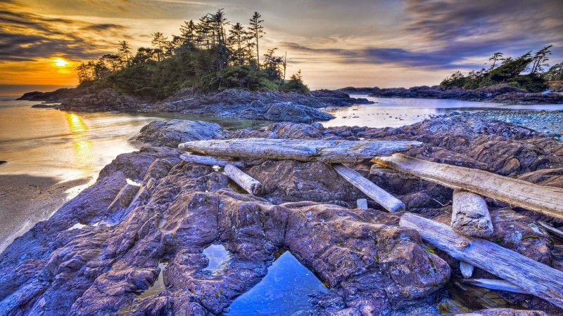 Tofino and Pacific Rim National Park Reserve
