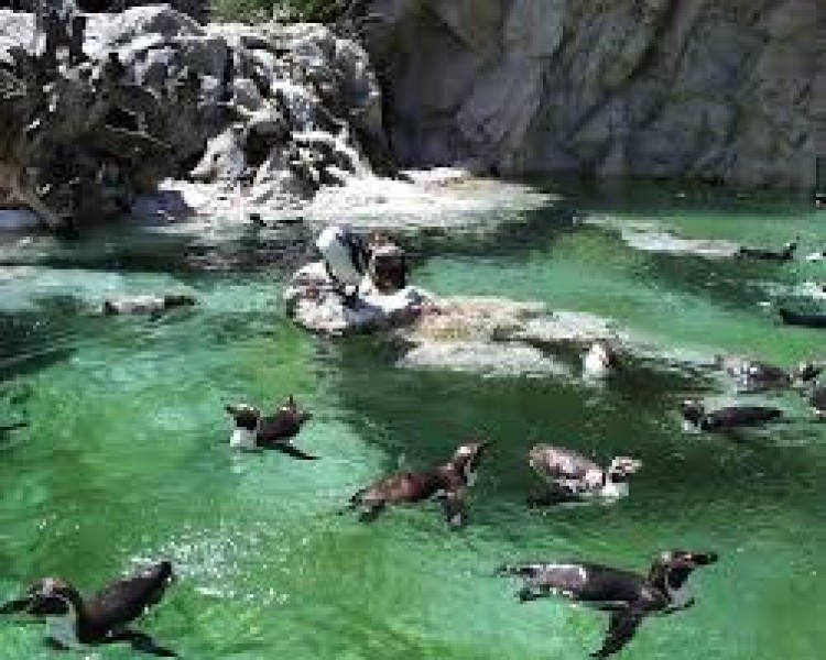 Vienna Zoo