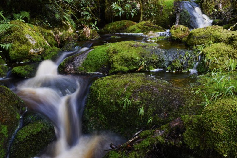 Kahurangi National Park