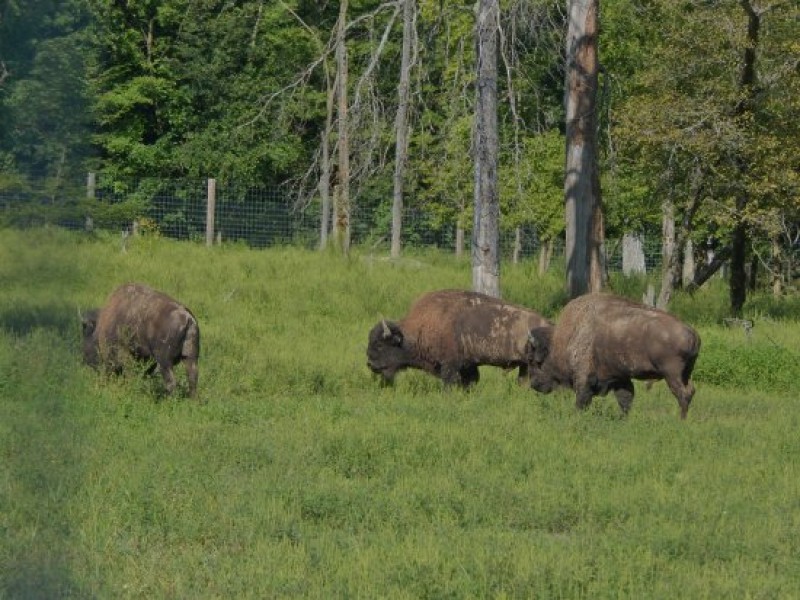 Ouabache State Park