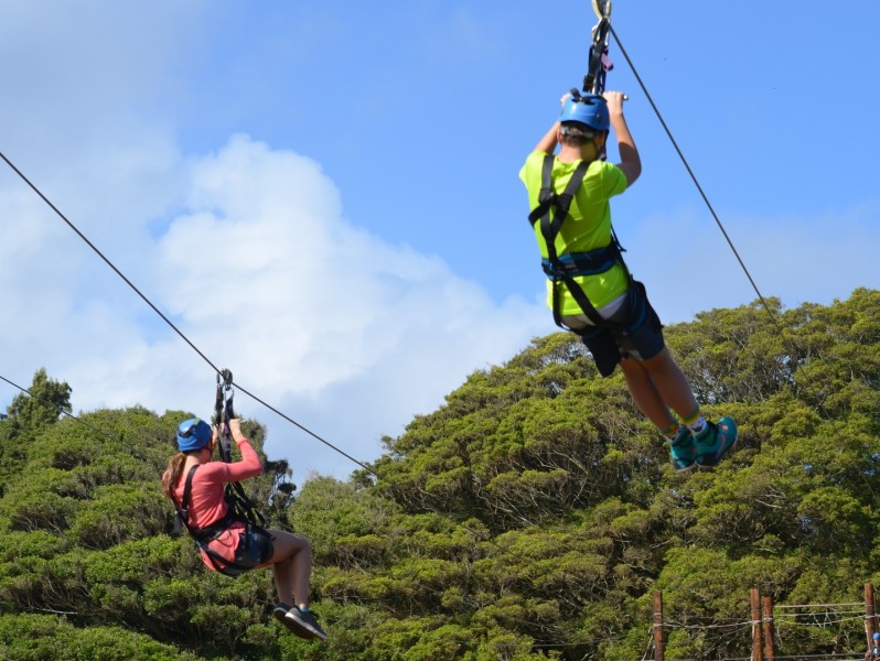 Zipline- Soaring Cliffs
