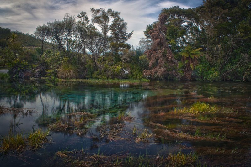 Te Waikoropupu Springs