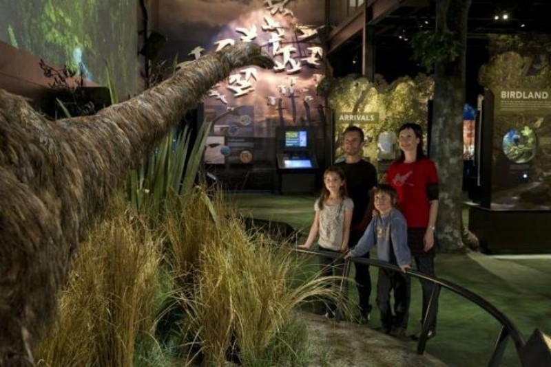 Zealandia Small Group Eco Wildlife Night Tour