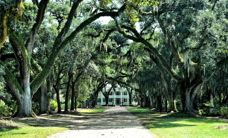 Rosedown Plantation and Gardens