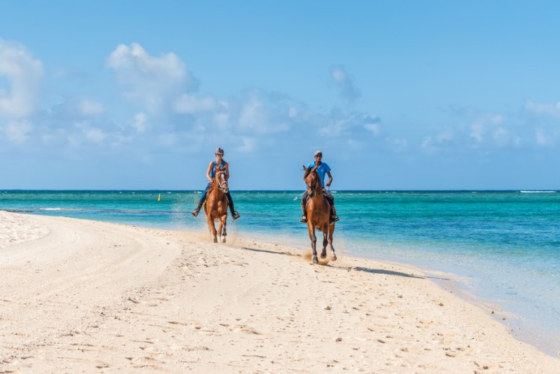 Horseback Riding Tour