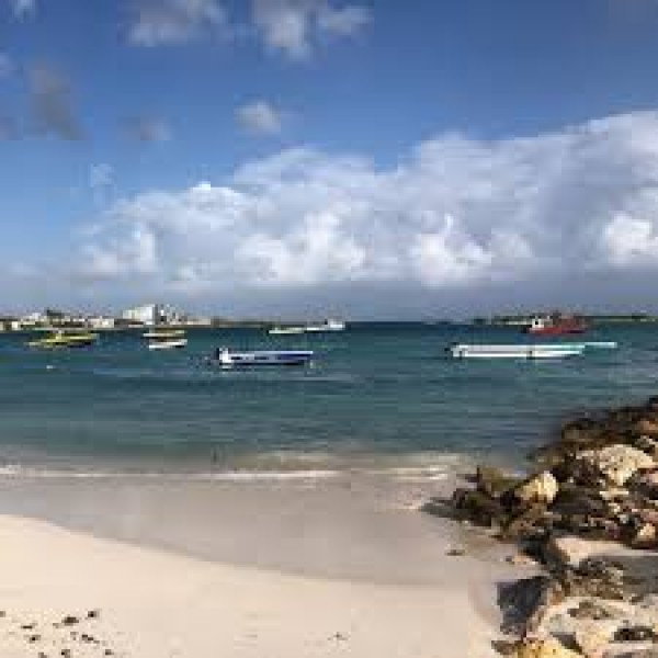 Island Harbour