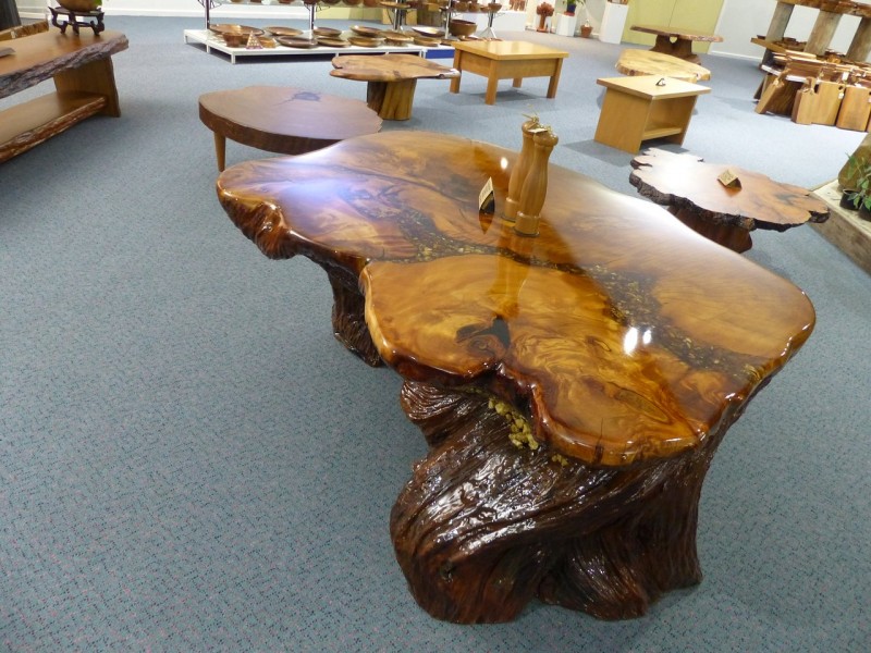 Nelson's Kaihu Kauri