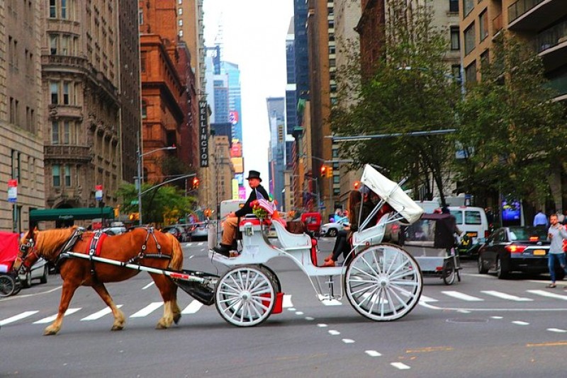 Carriage Ride