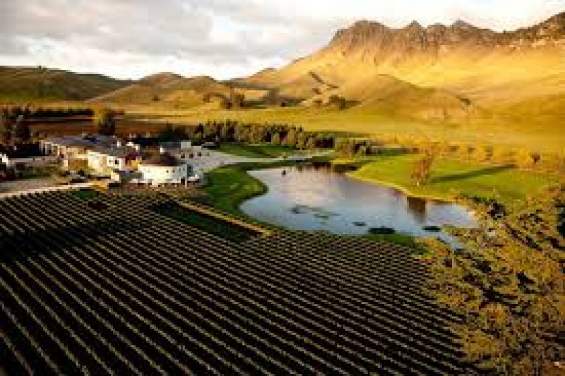TE WHARE RA Vineyard and Winery
