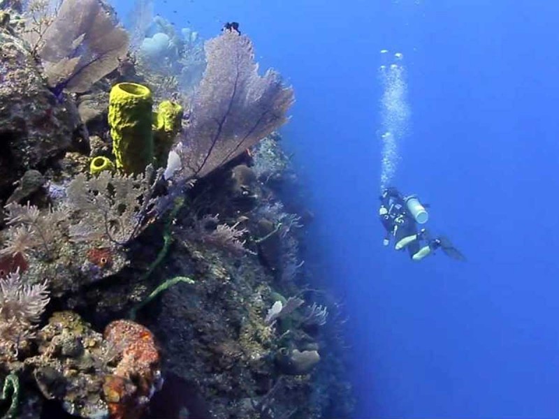 Bloody Bay Marine Reserve