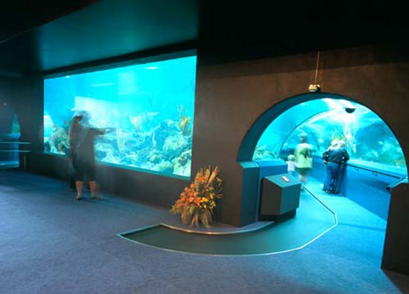 The National Aquarium of New Zealand