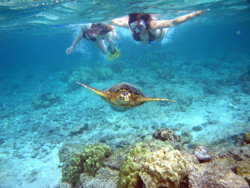 Snorkelling and Scuba Diving