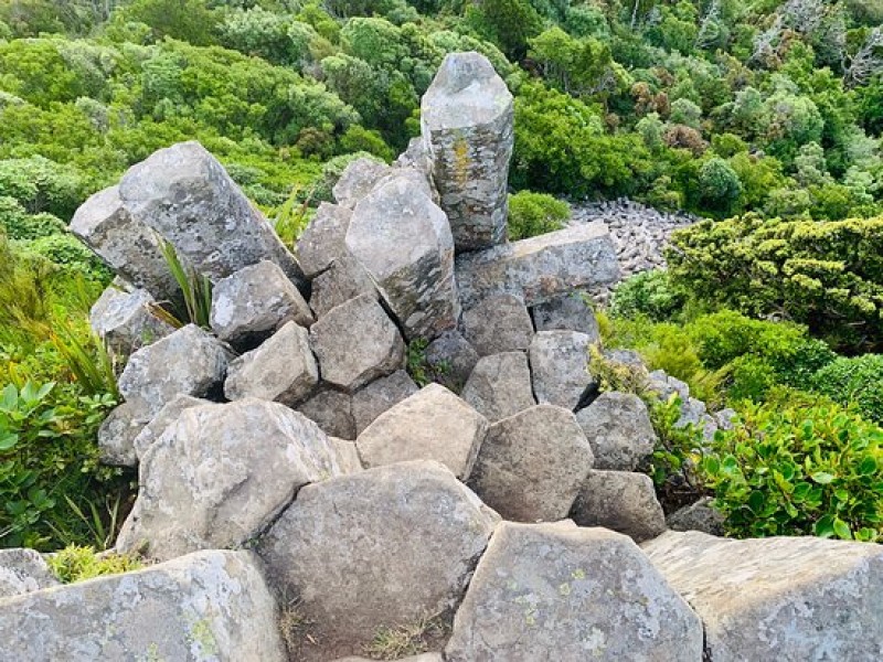 Organ Pipes
