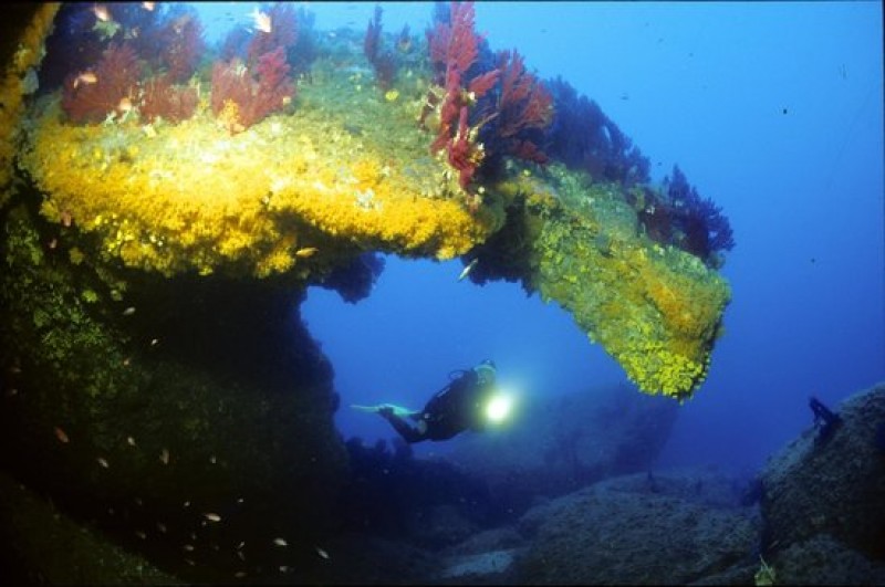 Dive Center Hippocampe