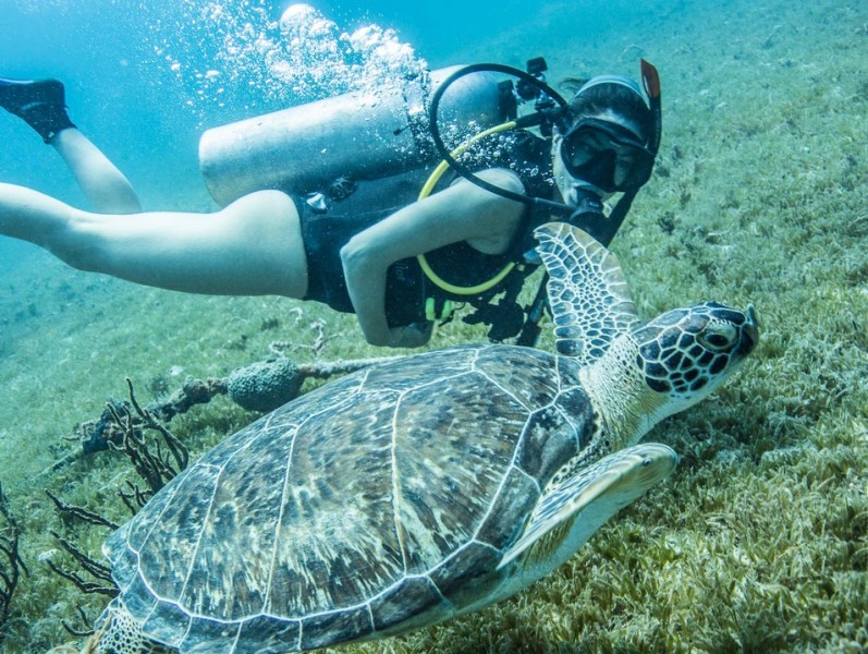 Dive at St Kitts