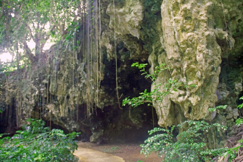 Welchman Hall Gully