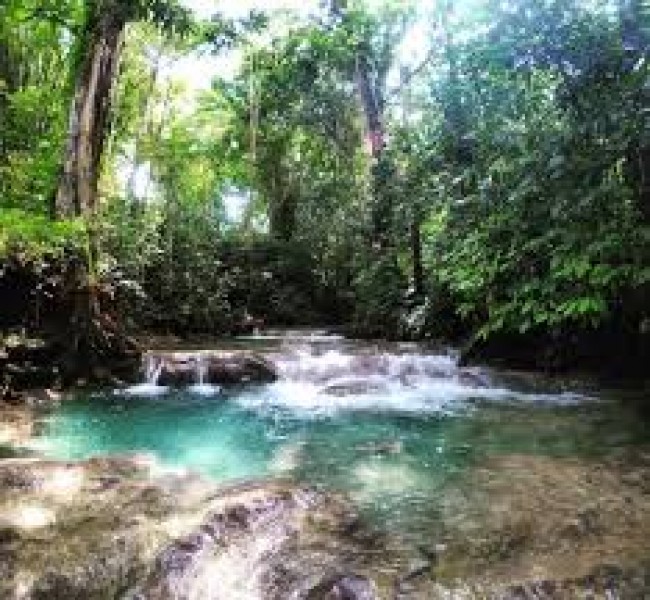 Jamaica Mayfield Falls