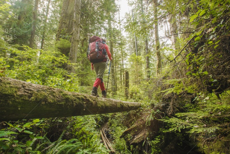 Go on a Hiking Adventure Along the West Coast Trail