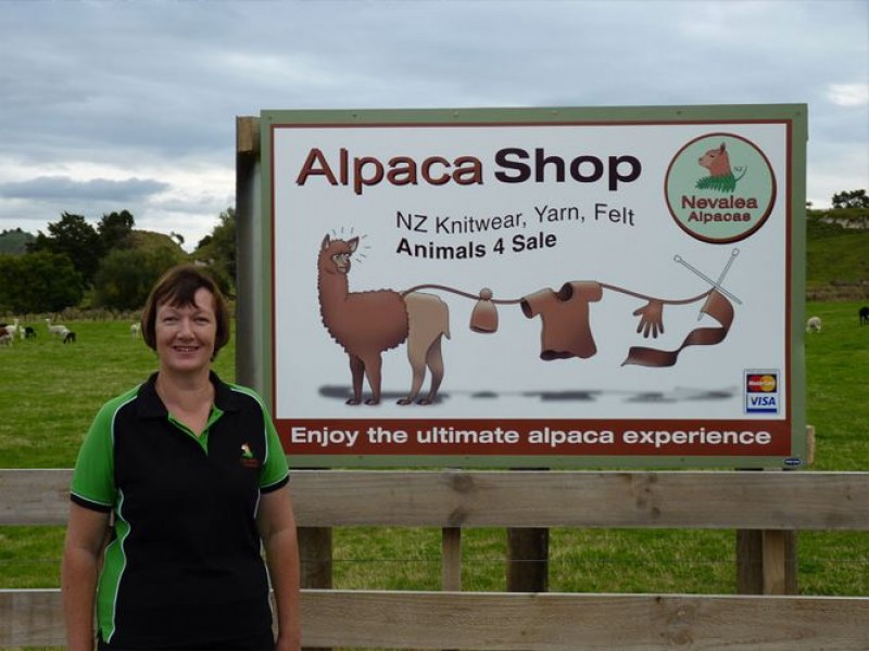 Nevalea Alpacas