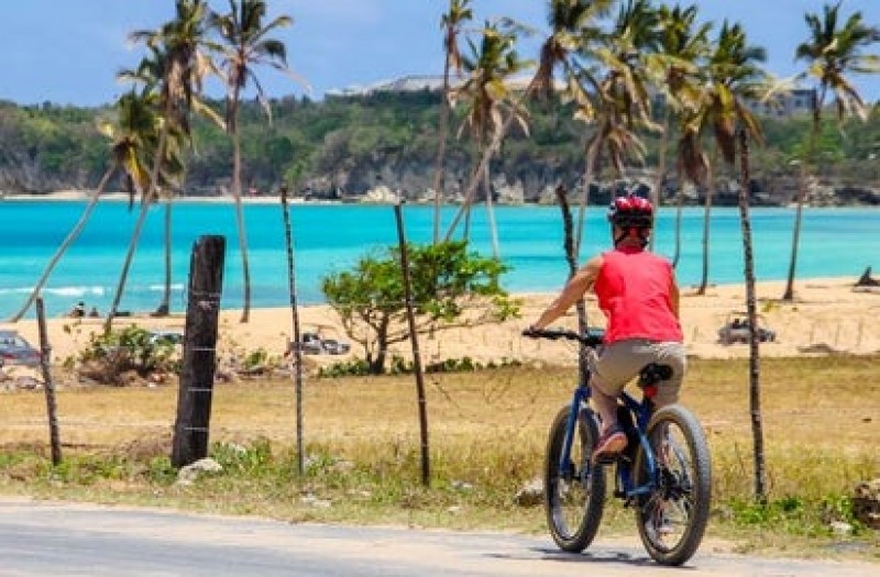 Pedal Through the Countryside