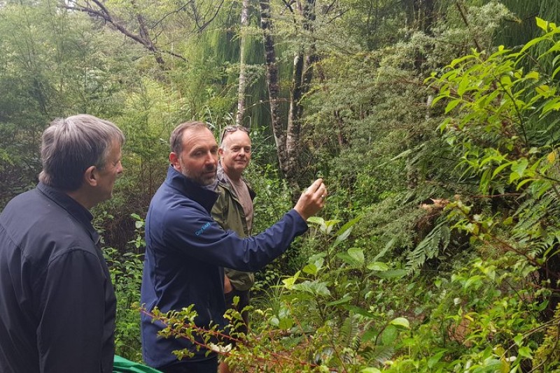 Coast and Rainforest Eco-Tour