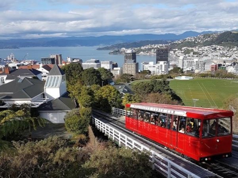Private Kapiti Coast Full Day Tour