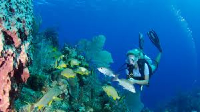 Diving