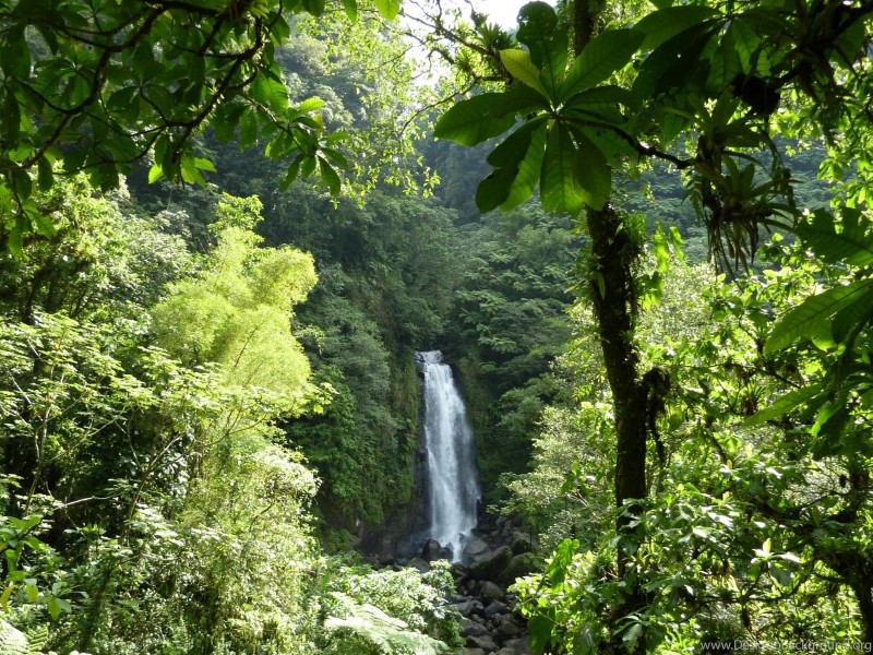 Trafalgar Falls