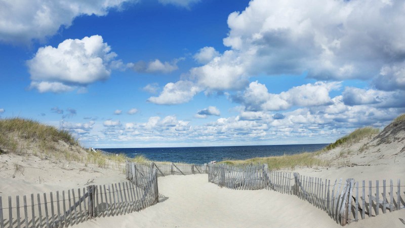 Cape Cod Beaches