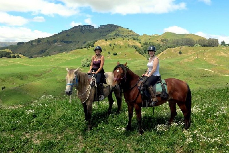 River Valley Stables - Harmony With Horses, Half Day Horsemanship & Trek