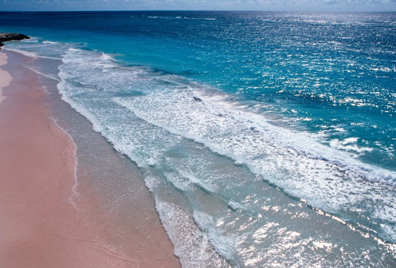 Crane Beach