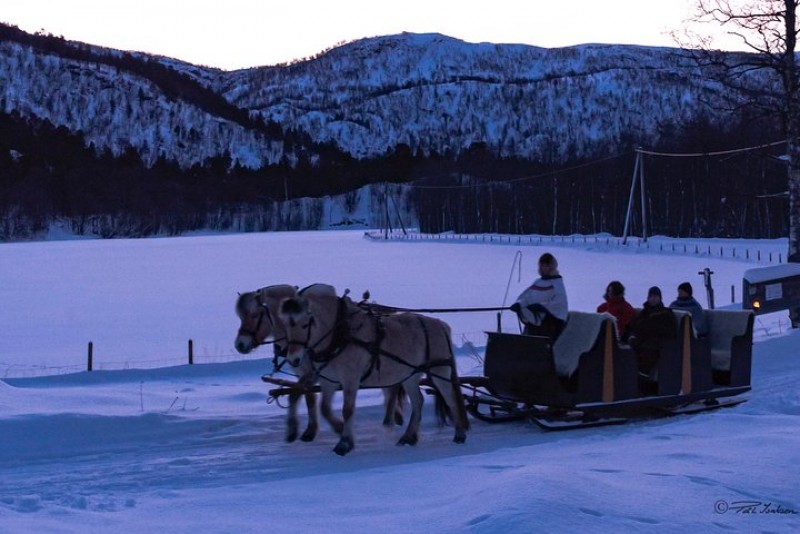 Sleigh Ride w/ snacks - Experience