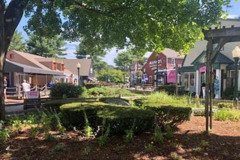 Stonington Village Farmers' Market