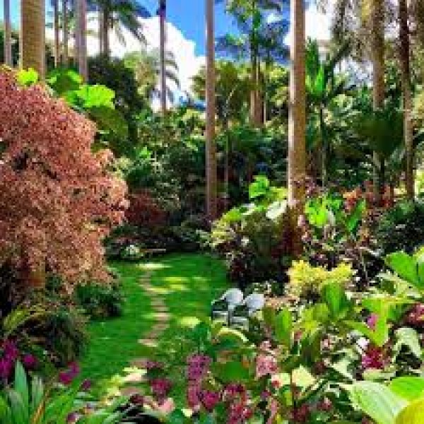 Hunte's Gardens